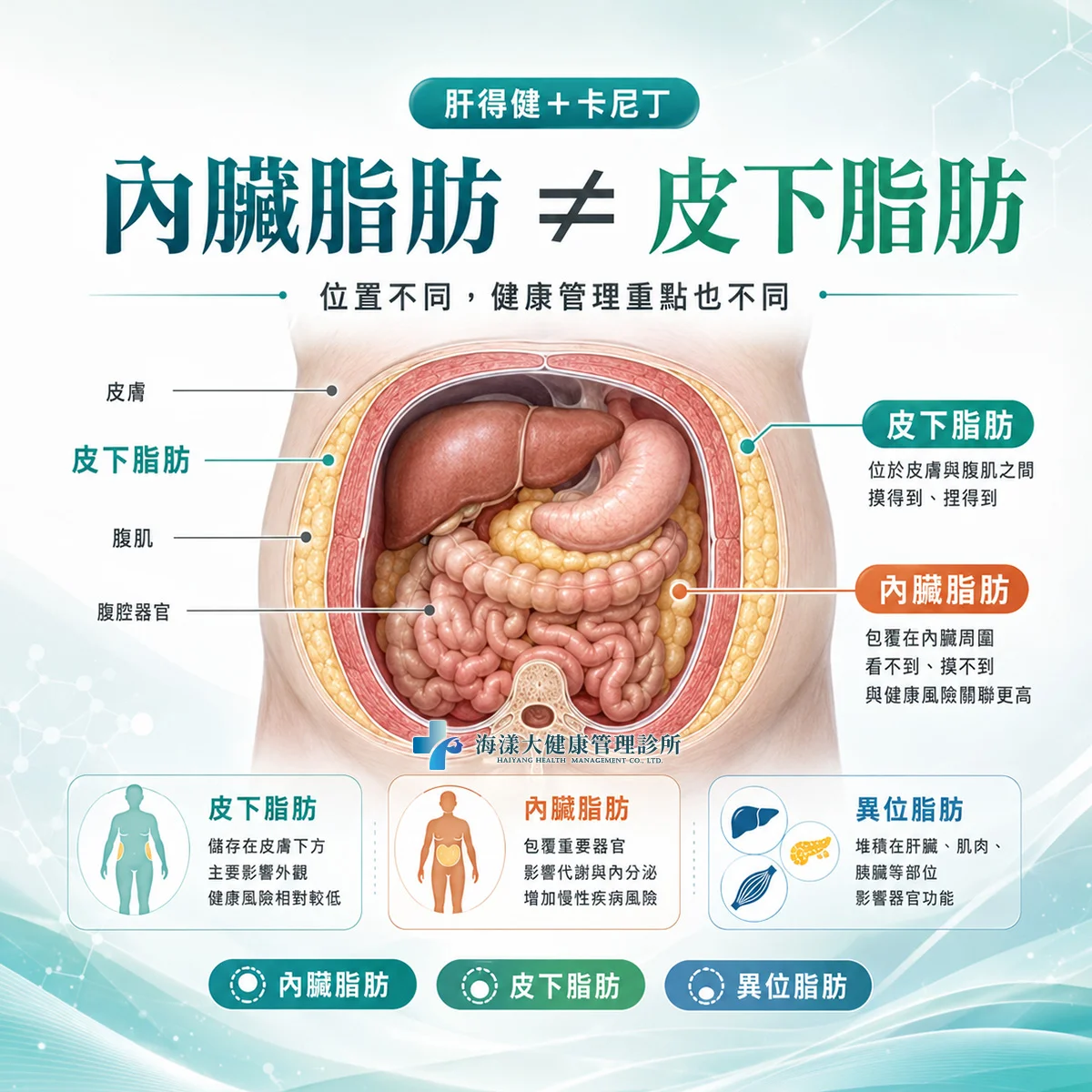 肝得健＋卡尼丁｜海漾大健康管理診所
