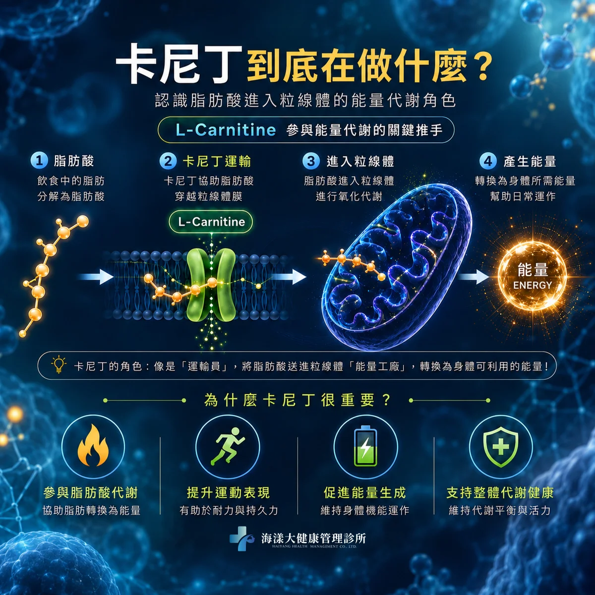 肝得健＋卡尼丁｜海漾大健康管理診所