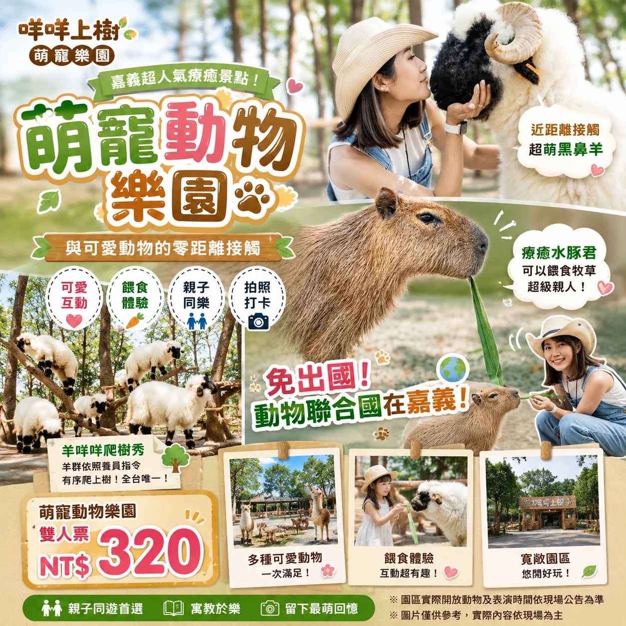 嘉義超萌動物之旅！咩咩上樹大人小孩都會融化