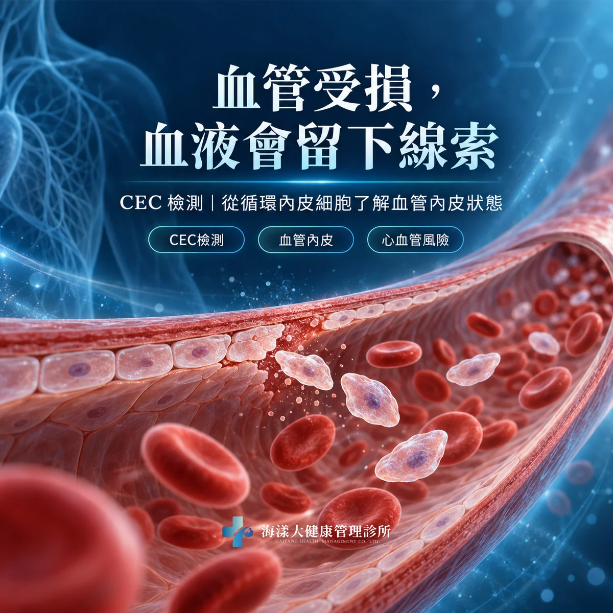 循環內皮細胞數量 CEC 檢測｜海漾大健康管理診所