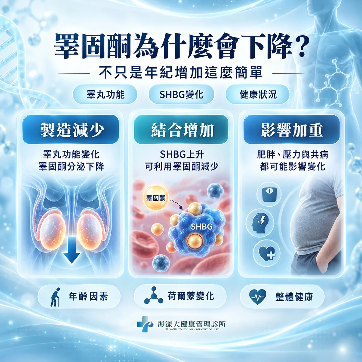 為何男性荷爾蒙會隨著年紀降低？有影響嗎？｜海漾大健康管理診所