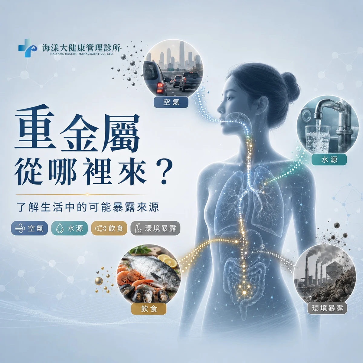 EDTA 重金屬螯合療法｜海漾大健康管理診所