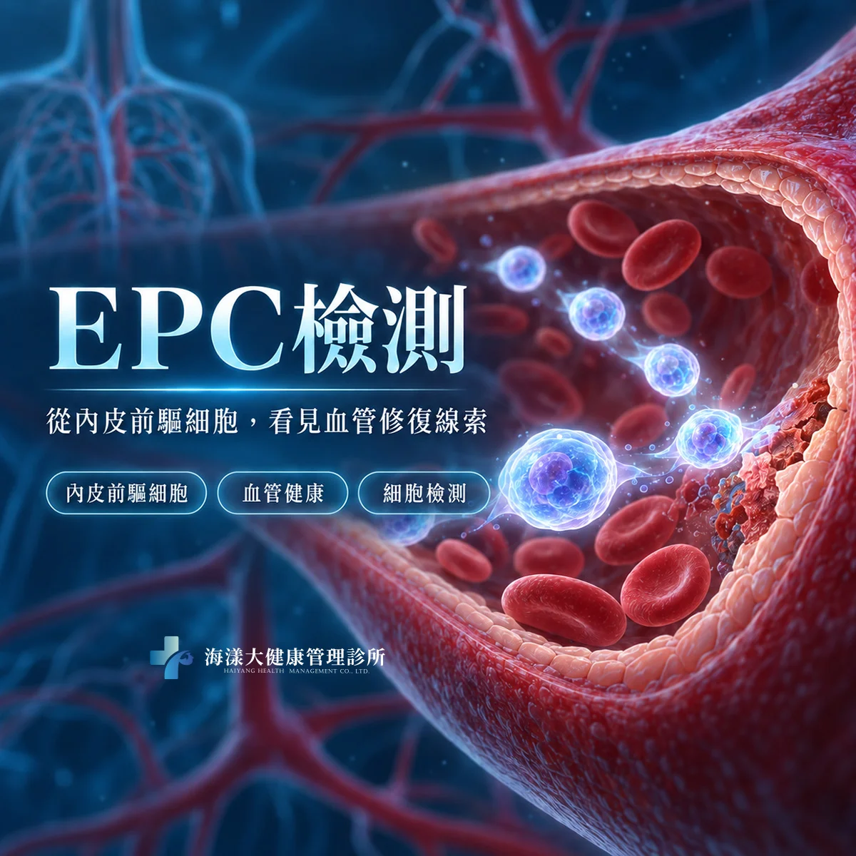 內皮前驅細胞EPC檢測｜海漾大健康管理診所